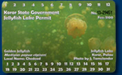 jellyfish lake permit