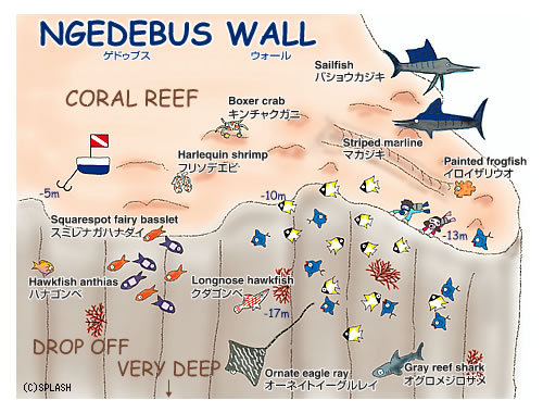 Ngedebus Wall